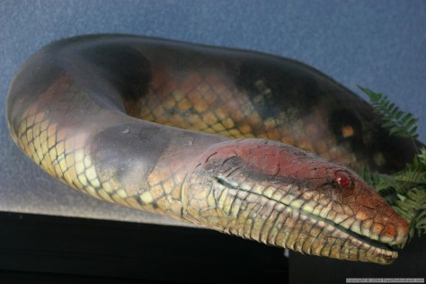 The snake representing Satan. Little did he know God had a providential role for the Fall