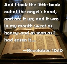 A reference to THE Little Book of revelation which I believe pertains to the same subject matter as my own